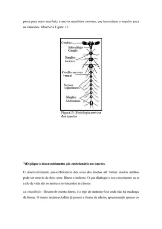 passa para outro neurônio, como os neurônios motores, que transmitem o impulso para
os músculos. Observe a Figura: 10

7)Explique o desenvolvimento pós-embrionário nos insetos.
O desenvolvimento pós-embrionário dos ovos dos insetos até formar insetos adultos
pode ser através de dois tipos: Direto e indireto. O que distingui o seu crescimento ou o
ciclo de vida são os animais pertencentes às classes:
a) Ametábolo: Desenvolvimento direto, é o tipo de metamorfose onde não há mudança
de forma. O inseto recém-eclodido já possui a forma de adulto, apresentando apenas os

 