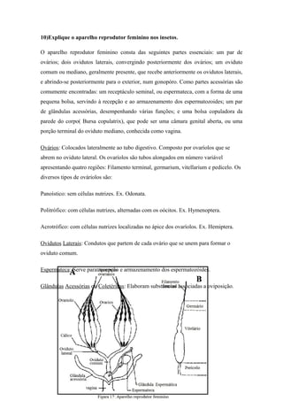 10)Explique o aparelho reprodutor feminino nos insetos.
O aparelho reprodutor feminino consta das seguintes partes essenciais: um par de
ovários; dois ovidutos laterais, convergindo posteriormente dos ovários; um oviduto
comum ou mediano, geralmente presente, que recebe anteriormente os ovidutos laterais,
e abrindo-se posteriormente para o exterior, num gonopóro. Como partes acessórias são
comumente encontradas: um receptáculo seminal, ou espermateca, com a forma de uma
pequena bolsa, servindo à recepção e ao armazenamento dos espermatozoides; um par
de glândulas acessórias, desempenhando várias funções; e uma bolsa copuladora da
parede do corpo( Bursa copulatrix), que pode ser uma câmara genital aberta, ou uma
porção terminal do oviduto mediano, conhecida como vagina.
Ovários: Colocados lateralmente ao tubo digestivo. Composto por ovaríolos que se
abrem no oviduto lateral. Os ovaríolos são tubos alongados em número variável
apresentando quatro regiões: Filamento terminal, germarium, vitellarium e pedicelo. Os
diversos tipos de ováriolos são:
Panoístico: sem células nutrizes. Ex. Odonata.
Politrófico: com células nutrizes, alternadas com os oócitos. Ex. Hymenoptera.
Acrotrófico: com células nutrizes localizadas no ápice dos ovaríolos. Ex. Hemiptera.
Ovidutos Laterais: Condutos que partem de cada ovário que se unem para formar o
oviduto comum.
Espermateca: Serve para recepção e armazenamento dos espermatozóides.
Glândulas Acessórias ou Coletéricas: Elaboram substâncias associadas a oviposição.

 