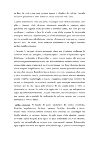 da base da cerda existe uma cavidade interna e cilíndrica da cutícula, chamada
tricóporo, que contém as partes distais das células associadas com a cerda.
A célula epidermal que forma uma cerda, ou qualquer outra estrutura semelhante a um
pêlo, é chamado célula tricógeno. Intimamente associada ao tricógeno, existe
geralmente uma segunda célula que forma a membrana cerdal, mas visto que essa
membrana é geralmente a base do alvéolo, a sua célula geradora foi denominada
tormógeno. Associada a algumas cerdas, se não na maioria delas, pode estar uma célula
nervosa sensorial, nascendo abaixo da epiderme e ligando-se á cerda, por um processo
nervoso distal. As cerdas, assim enervadas transformam-se em órgãos sensoriais
cerdais, ou pêlos sensoriais.
- Escamas. As escamas estruturas escamosas, chatas, que constituem a cobertura do
corpo dos adultos de Lepidóptera,Trichoptera,Díptera- Culicidae e Psychodidae, alguns
Coleóptera- curulionidae e Ceramycidae, e outroe poucos insetos, são processos
unicelulares grandemente modificados, que provavelmente se desenvolveram de cerdas
comuns.Cada escama origina-se de um processo formado pelo desenvolvimento de uma
célula tricógena da epiderme da asa. Como o processo formado pelo desenvolvimento
de uma célula tricogena da epiderme da asa. Como o processo é alongado, a célula toma
a forma de uma bolsa ou saco, que finalmente se achata para formar a escama. Quando a
escama completa a sua formação, o triógeno se degenera, desaparecendo no interior da
escama. As duas paredes horizontais da escama são agora unidas por barras cuticulares
verticais, que lhe dão rigidez pela aplicação de uma parede contra a outra. A
pigmentação da escama é formada pelos corpúsculos doa sangue, que nela penetram
depois de completamente formada. As cores iridescentes, tão características da maioria
das escamas, são o resultado da esculturação das próprias escamas, que provocam
fenômenos de refração da luz.
-Cerdas venenosas. As lagartas de alguns lepidópteros das famílias Notdotidae,
Liparidae, Megalopygidae, Arctiidae, Noctuidae, Eucleidae, Saturniidae, e outras,
trazem cerdas venenosas, também chamados pêlos urticantes, que descarregam um
líquido cáustico ou urticante, irritante, formado numa célula glandular especial,
associada à célula tricógena. Esse líquido sai pelas extremidades dos pêlos urticantes,
quando elas são quebradas de encontro a um corpo estranho qualquer. Existem dois
tipos de pêlos urticantes, nas lagartas. Num primeiro tipo o aparelho consiste em pêlo

 