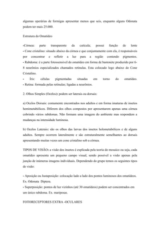 algumas operárias de formigas apresentar menos que seis, enquanto alguns Odonata
podem ter mais 25.000.
Estrutura do Omatídeo
-Córnea:

parte

transparente

da

cutícula;

possui

função

de

lente

- Cone cristalino: situado abaixo da córnea e que conjuntamente com ela, é responsáveis
por

concentrar

e

refletir

a

luz

para

a

região

contendo

pigmentos.

- Rabdoma: é a parte fotossensivel do omatídeo em forma de bastonete produzido por 68 neurônios especializados chamados retínulas. Esta colocado logo abaixo do Cone
Cristalino.
-

Íris:

células

pigmentadas

situadas

em

torno

do

omatídeo.

- Retina: formada pelas retínulas; ligadas a neurônios.
2. Olhos Simples (Ocelos): podem ser laterais ou dorsais:
a) Ocelos Dorsais: comumente encontrados nos adultos e em forma imaturas de insetos
hemimetabólicos. Diferem dos olhos compostos por apresentarem apenas uma córnea
cobrindo vários rabdomas. Não formam uma imagem do ambiente mas respondem a
mudanças na intensidade luminosa.
b) Ocelos Laterais: são os olhos das larvas dos insetos holometabólicos e de alguns
adultos. Sempre ocorrem lateralmente e são estruturalmente semelhantes ao dorsais
apresentando muitas vezes um cone cristalino sob a córnea.
TIPOS DE VISÃO: a visão dos insetos é explicada pela teoria do mosaico ou seja, cada
omatídeo apresenta um pequeno campo visual, sendo possível a visão apenas pela
junção de inúmeras imagens individuais. Dependendo do grupo temos os seguintes tipos
de visão:
- Aposição ou Justaposição: colocação lado a lado dos pontos luminosos dos omatídeos.
Ex. Odonata Diptera.
- Superposição: pontos de luz vizinhos (até 30 omatídeos) podem ser concentrados em
um único rabdoma. Ex. mariposas.
FOTORECEPTORES EXTRA -OCULARES

 
