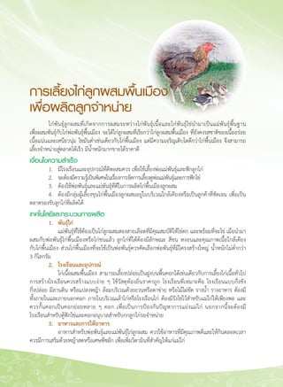 112
	 ไก่พันธุ์ลูกผสมที่เกิดจากการผสมระหว่างไก่พันธุ์เนื้อและไก่พันธุ์ไข่นำมาเป็นแม่พันธุ์พื้นฐาน

เพื่อผสมพันธุ์กับไก่พ่อพันธุ์พื้นเมือง จะได้ไก่ลูกผสมที่เรียกว่าไก่ลูกผสมพื้นเมือง ที่ยังคงรสชาติของเนื้ออร่อย

เนื้อแน่นและเหนียวนุ่ม ไขมันต่ำเช่นเดียวกับไก่พื้นเมือง แต่มีความเจริญเติบโตดีกว่าไก่พื้นเมือง จึงสามารถ
เลี้ยงจำหน่ายสู่ตลาดได้เร็ว มีน้ำหนักมากขายได้ราคาดี
เงื่อนไขความสำเร็จ
	 1.	 มีโรงเรือนและอุปกรณ์ที่ดีพอสมควร เพื่อใช้เลี้ยงพ่อแม่พันธุ์และฟักลูกไก่
	 2.	 จะต้องมีความรู้เป็นพิเศษในเรื่องการจัดการเลี้ยงดูพ่อแม่พันธุ์และการฟักไข่
	 3.	 ต้องใช้พ่อพันธุ์และแม่พันธุ์ที่ดีในการผลิตไก่พื้นเมืองลูกผสม
	 4.	 ต้องมีกลุ่มผู้เลี้ยงขุนไก่พื้นเมืองลูกผสมอยู่ในบริเวณใกล้เคียงหรือเป็นลูกค้าที่ชัดเจน เพื่อเป็น
ตลาดรองรับลูกไก่ที่ผลิตได้
เทคโนโลยีและกระบวนการผลิต
	 1. 	 พันธุ์ไก่
	 	 แม่พันธุ์ที่ใช้ต้องเป็นไก่ลูกผสมสองสายเลือดที่มีคุณสมบัติให้ไข่ดก และพร้อมที่จะไข่ เมื่อนำมา
ผสมกับพ่อพันธุ์ไก่พื้นเมืองหรือไก่ชนแล้ว ลูกไก่ที่ได้ต้องมีลักษณะ สีขน หงอนและคุณภาพเนื้อใกล้เคียง

กับไก่พื้นเมือง ส่วนไก่พื้นเมืองที่จะใช้เป็นพ่อพันธุ์ควรคัดเลือกพ่อพันธุ์ที่มีโครงสร้างใหญ่ น้ำหนักไม่ต่ำกว่า
3 กิโลกรัม
	 2.	 โรงเรือนและอุปกรณ์
	 	 ไก่เนื้อผสมพื้นเมือง สามารถเลี้ยงปล่อยเป็นฝูงบนพื้นคอกได้เช่นเดียวกับการเลี้ยงไก่เนื้อทั่วไป
การสร้างโรงเรือนควรสร้างแบบง่าย ๆ ใช้วัสดุท้องถิ่นราคาถูก โรงเรือนที่เหมาะคือ โรงเรือนแบบกึ่งขัง

กึ่งปล่อย มีลานดิน หรือแปลงหญ้า ล้อมบริเวณด้วยอวนหรือตาข่าย หรือไม้ไผ่ขัด รางน้ำ รางอาหาร ต้องมี
ทั้งภายในและภายนอกคอก ภายในบริเวณเล้าไก่หรือโรงเรือนไก่ ต้องมีรังไข่ไว้สำหรับแม่ไก่ให้เพียงพอ และ
ควรกั้นคอกเป็นคอกย่อยหลาย ๆ คอก เพื่อเป็นการป้องกันปัญหาการแย่งแม่ไก่ นอกจากนี้จะต้องมี

โรงเรือนสำหรับตู้ฟักไข่และคอกอนุบาลสำหรับกกลูกไก่รอจำหน่าย
	 3.	 อาหารและการให้อาหาร
	 	 อาหารสำหรับพ่อพันธุ์และแม่พันธุ์ไก่ลูกผสม ควรใช้อาหารที่มีคุณภาพดีและให้กินตลอดเวลา
ควรมีการเสริมด้วยหญ้าสดหรือเศษพืชผัก เพื่อเพิ่มวิตามินที่สำคัญให้แก่แม่ไก่
การเลี้ยงไก่ลูกผสมพื้นเมือง
เพื่อผลิตลูกจำหน่าย
 