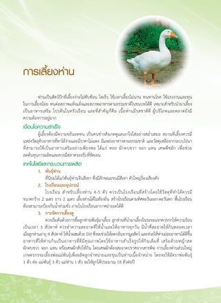 140
การเลี้ยงห่าน
	 ห่านเป็นสัตว์ปีกที่เลี้ยงง่ายไม่ซับซ้อน โตเร็ว ใช้เวลาเลี้ยงไม่นาน ทนทานโรค ใช้แรงงานและทุน

ในการเลี้ยงน้อย ทนต่อสภาพแห้งแล้งและสภาพอาหารตามธรรมชาติในชนบทได้ดี เหมาะสำหรับนำมาเลี้ยง

เป็นอาหารเสริม โปรตีนในครัวเรือน และที่สำคัญก็คือ เนื้อห่านมีรสชาติดี ผู้บริโภคและตลาดยังมี

ความต้องการอยู่มาก
เงื่อนไขความสำเร็จ
	 ผู้เลี้ยงต้องมีความขยันอดทน เป็นคนช่างสังเกตดูแลเอาใจใส่อย่างสม่ำเสมอ สถานที่เลี้ยงควรมี
แหล่งวัตถุดิบอาหารที่หาได้ง่ายและมีราคาไม่แพง มีแหล่งอาหารตามธรรมชาติ และวัสดุเหลือจากระบบไร่นา

ที่สามารถใช้เป็นอาหารเสริมอย่างเพียงพอ ได้แก่ หอย ผักตบชวา จอก แหน เศษพืชผัก เพื่อช่วย

ลดต้นทุนการผลิตและควรมีตลาดรองรับที่ชัดเจน
เทคโนโลยีและกระบวนการผลิต
	 1. 	 พันธุ์ห่าน
	 	 ที่นิยมได้แก่พันธุ์ห่านจีนสีเทา ซึ่งมีลักษณะขนมีสีเทา ตัวใหญ่ร้องเสียงดัง
	 2. 	 โรงเรือนและอุปกรณ์
	 	 โรงเรือน สำหรับเลี้ยงห่าน 4-5 ตัว ควรเป็นโรงเรือนที่สร้างโดยใช้วัสดุที่ทำได้ควรมี 

ขนาดกว้าง 2 เมตร ยาว 2 เมตร เลี้ยงห่านได้ในท้องถิ่น สร้างโรงเรือนตามทิศตะวันออก-ตะวันตก พื้นโรงเรือน
ต้องสามารถป้องกันน้ำท่วมขัง ภายในโรงเรือนอากาศถ่ายเทได้ดี
	 3. 	 การจัดการเลี้ยงดู
		 ควรเริ่มต้นด้วยการซื้อลูกห่านพันธุ์มาเลี้ยง ลูกห่านที่นำมาเลี้ยงในระยะแรกควรกกให้ความร้อน

เป็นเวลา 3 สัปดาห์ ควรทำความสะอาดที่ให้น้ำและให้อาหารทุกวัน มีน้ำที่สะอาดให้กินตลอดเวลา

เมื่อลูกห่านอายุ 4 สัปดาห์ ให้น้ำผสมด้วย EM ซึ่งจะช่วยให้ลดกลิ่นจากมูลสัตว์ และช่วยให้ห่านย่อยอาหารได้ดีขึ้น
อาหารที่ให้ห่านกินเป็นอาหารที่ดีมีคุณภาพโดยใช้อาหารสำเร็จรูปให้กินเต็มที่ เสริมด้วยหญ้าสด 

ผักตบชวา จอก แหน หรือเศษผักสับให้กิน โดยเศษผักต้องสะอาดปราศจากสารพิษ การเลี้ยงห่านส่วนใหญ่
เกษตรกรจะเลี้ยงพ่อแม่พันธุ์เพื่อผลิตลูกจำหน่ายและขุนเป็นห่านเนื้อจำหน่าย โดยจะใช้อัตราพ่อพันธุ์ 

1 ตัว ต่อ แม่พันธุ์ 3 ตัว แม่ห่าน 1 ตัว จะให้ลูกได้ประมาณ 18 ตัวต่อปี

 