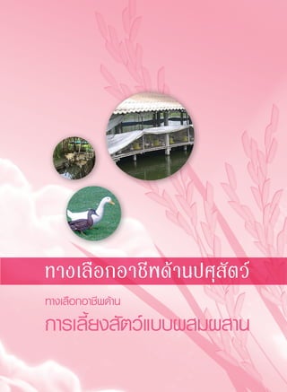 147
ทางเลือกอาชีพด้าน
การเลี้ยงสัตว์แบบผสมผสาน

ทางเลือกอาชีพด้านปศุสัตว์
 