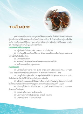 160
การเลี้ยงปูทะเล
	 ปูทะเลมีรสชาติดี สามารถนำมาปรุงอาหารได้หลากหลายชนิด เป็นที่นิยมบริโภคทั่วไป ปัจจุบัน

ปูทะเลนับเป็นสินค้าที่มีราคาสูงและค่อนข้างหารับประทานได้ยาก ดังนั้น ความต้องการปูทะเลจึงมีเพิ่ม

มากขึ้น การเลี้ยงปูทะเลทำได้หลายประเภท เช่น การเลี้ยงขุนปู การเลี้ยงปูโพรกให้เป็นปูแน่น การเลี้ยง

ปูไข่ การเลี้ยงปูนิ่ม และการเลี้ยงปูเล็กเพื่อขายให้เลี้ยงต่อ 
การเลือกพื้นที่เลี้ยงขุนปูทะเล
	 1)	 อยู่ใกล้แหล่งน้ำกร่อยความเค็ม 10-30 ppt (ส่วนในพันส่วน)
	 2)	 เป็นบริเวณที่น้ำทะเลขึ้น-ลง ได้สะดวก น้ำไม่ท่วมขณะที่น้ำทะเลมีระดับสูงสุด และสามารถ
ระบายน้ำได้แห้งเมื่อมีน้ำลงต่ำสุด
	 3)	 มีการคมนาคมสะดวก
	 4)	 สภาพดินเป็นดินเหนียวหรือดินเหนียวปนทราย สามารถเก็บน้ำได้ดี
	 5)	 ห่างไกลจากแหล่งโรงงานอุตสาหกรรม
การเตรียมบ่อ
	 1)	 บ่อควรมีพื้นที่ประมาณ 400-1,600 ตารางเมตร หรือใช้บ่อเลี้ยงกุ้งเก่า ความลึก

1.5-1.8 เมตร และควรขุดร่องรอบบ่อลึกประมาณ 80 เซนติเมตร กว้างประมาณ 1 เมตร 
	 2)	 ประตูน้ำมีประตูเดียวหรือ 2 ประตูหรือฝังท่อพีวีซีเส้นผ่าศูนย์กลางประมาณ 10 นิ้ว

ท่อเดียวโดยใช้ฝาเปิด-ปิดก็ได้ ซึ่งใช้ระบายน้ำเข้า-ออกทางเดียวกัน 
	 3)	 บริเวณคันบ่อและประตูน้ำใช้อวนเก่าหรืออวนมุ้งเขียวหรือแผ่นกระเบื้องมุงหลังคาเกรดบี

ปิดกั้นโดยรอบเพื่อป้องกันการหลบหนีของปู โดยสูงจากขอบบ่อและประตูระบายน้ำ 0.5 เมตร 
	 4)	 ใช้ประตูน้ำเข้า-ออก เป็นไม้ขนาด 1-1.50 นิ้ว ห่างกันไม่เกินซีกละ 2 เซนติเมตร

เย็บตะแกรงป้องกันปูออก 
	 5)	 บ่อใหม่ควรทำความสะอาดบริเวณรอบบ่อ 
	 6)	 บ่อเก่าควรมีการกำจัดวัชพืช ลอกเลน ถมรอยรั่ว ตามคันบ่อ 
	 7)	 ใส่ปูนขาวประมาณ 50-60 กิโลกรัมต่อไร่
 