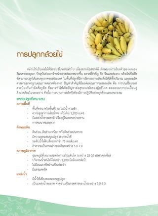 20
การปลูกกล้วยไข่
	 กล้วยไข่เป็นผลไม้ที่นิยมบริโภคกันทั่วไป เนื่องจากมีรสชาติดี ลักษณะการเรียงตัวของผลและ

สีผลสวยสะดุดตา ปัจจุบันส่งออกจำหน่ายต่างประเทศมากขึ้น ตลาดที่สำคัญ คือ จีนและฮ่องกง กล้วยไข่เป็นพืช

ที่สามารถปลูกได้แทบทุกภาคของประเทศ ในพื้นที่ปลูกที่มีการจัดการการผลิตเพื่อให้ได้ทั้งปริมาณ และผลผลิต

ตรงตามมาตรฐานคุณภาพตลาดต้องการ ปัญหาสำคัญที่มีผลต่อคุณภาพของผลผลิต คือ การปนเปื้อนของ
สารป้องกันกำจัดศัตรูพืช ซึ่งอาจทำให้เกิดปัญหาต่อสุขอนามัยของผู้บริโภค ตลอดจนการปนเปื้อนสู่

สิ่งแวดล้อมในระยะยาว ดังนั้น กระบวนการผลิตจึงต้องมีการปฏิบัติอย่างถูกต้องและเหมาะสม
แหล่งปลูกที่เหมาะสม
สภาพพื้นที่
	 -	 พื้นที่ดอน หรือพื้นที่ราบ ไม่มีน้ำท่วมขัง
	 - 	 ความสูงจากระดับน้ำทะเลไม่เกิน 1,200 เมตร
	 - 	 มีแหล่งน้ำธรรมชาติ หรืออยู่ในเขตชลประทาน
	 - 	 การคมนาคมสะดวก
ลักษณะดิน
	 - 	 ดินร่วน, ดินร่วนเหนียว หรือดินร่วนปนทราย
	 - 	 มีความอุดมสมบูรณ์สูง ระบายน้ำดี
	 - 	 ระดับน้ำใต้ดินลึกมากกว่า 75 เซนติเมตร
	 - 	 ค่าความเป็นกรดด่างของดินระหว่าง 5.0-7.0
สภาพภูมิอากาศ
	 - 	 อุณหภูมิที่เหมาะสมต่อการเจริญเติบโต ระหว่าง 25-35 องศาเซลเซียส
	 - 	 ปริมาณน้ำฝนไม่น้อยกว่า 1,200 มิลลิเมตรต่อปี
	 - 	 ไม่มีลมแรงพัดผ่านเป็นประจำ
	 - 	 มีแสงแดดจัด
แหล่งน้ำ
	 - 	 มีน้ำใช้เพียงพอตลอดฤดูปลูก
	 - 	 เป็นแหล่งน้ำสะอาด ค่าความเป็นกรดด่างของน้ำระหว่าง 5.0-9.0
 