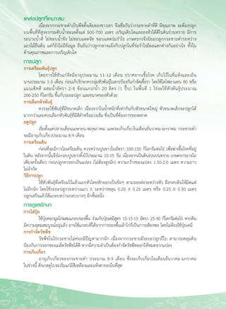 26
แหล่งปลูกที่เหมาะสม
	 เนื่องจากกระชายดำเป็นพืชดั้งเดิมของชาวเขา จึงเชื่อกันว่ากระชายดำที่ดี มีคุณภาพ จะต้องปลูก
บนพื้นที่ที่สูงจากระดับน้ำทะเลตั้งแต่ 500-700 เมตร เจริญเติบโตและลงหัวได้ดีในดินร่วนทราย มีการ
ระบายน้ำดี ไม่ชอบน้ำขัง ไม่ชอบแดดจัด ชอบแดดร่มรำไร เกษตรกรจึงนิยมปลูกกระชายดำระหว่าง

แถวไม้ยืนต้น แต่ก็ยังไม่มีข้อมูล ยืนยันว่าปลูกกลางแจ้งกับปลูกในที่ร่มรำไรมีผลแตกต่างกันอย่างไร ทั้งใน
ด้านคุณภาพและการเจริญเติบโต
การปลูก
การเตรียมพันธุ์ปลูก 
	 โดยการใช้หัวแก่จัดมีอายุประมาณ 11-12 เดือน ปราศจากเชื้อโรค เก็บไว้ในที่แห้งและเย็น

นานประมาณ 1-3 เดือน ก่อนเก็บรักษาควรจุ่มหัวพันธุ์ในสารป้องกันกำจัดเชื้อรา โดยใช้ไดโฟลาแทน 80 หรือ

แมนเซ็ทดี ผสมน้ำอัตรา 2-4 ช้อนแกง/น้ำ 20 ลิตร (1 ปี๊บ) ในพื้นที่ 1 ไร่จะใช้หัวพันธุ์ประมาณ 

200-250 กิโลกรัม ขึ้นกับระยะปลูก และขนาดของหัวด้วย 
การเลือกหัวพันธุ์ 
	 ควรจะใช้พันธุ์ที่มีขนาดเล็ก เนื่องจากในน้ำหนักที่เท่ากันกับหัวขนาดใหญ่ หัวขนาดเล็กจะปลูกได้
มากกว่าและควรเลือกหัวพันธุ์ที่มีสีดำหรือม่วงเข้ม ซึ่งเป็นที่ต้องการของตลาด
ฤดูปลูก
	 เริ่มตั้งแต่ปลายเดือนเมษายน-พฤษภาคม และจะเก็บเกี่ยวในเดือนธันวาคม-มกราคม กระชายดำ
จะมีอายุเก็บเกี่ยวประมาณ 8-9 เดือน
การเตรียมดิน
	 ก่อนที่จะมีการไถเตรียมดิน ควรหว่านปูนขาวในอัตรา 100-150 กิโลกรัมต่อไร่ เพื่อฆ่าเชื้อโรคที่อยู่

ในดิน หลังจากนั้นจึงไถกลบปูนขาวทิ้งไว้ประมาณ 10-15 วัน เนื่องจากเป็นดินร่วนปนทราย เกษตรกรอาจไถ

เพียงครั้งเดียว ก่อนปลูกควรยกเป็นแปลง (ไม่ต้องสูงนัก) ความกว้างของแปลง 1.50-2.0 เมตร ความยาว

ไม่จำกัด
วิธีการปลูก 
	 ใช้หัวพันธุ์ที่เตรียมไว้แล้วแยกหัวโดยหักออกเป็นข้อๆ ตามรอยต่อระหว่างหัว ฝังกลบดินให้มิดแต่
ไม่ลึกนัก โดยใช้ระยะปลูกระหว่างแถว X ระหว่างหลุม 0.20 X 0.25 เมตร หรือ 0.25 X 0.30 เมตร 

ปลูกเสร็จแล้วใช้แกลบหว่านกลบบางๆ อีกชั้นหนึ่ง 
การดูแลรักษา
การใส่ปุ๋ย 
	 ใช้ปุ๋ยคอกมูลไก่ผสมแกลบรองพื้น ร่วมกับปุ๋ยเคมีสูตร 15-15-15 อัตรา 25-30 กิโลกรัมต่อไร่ หากดิน

มีความอุดมสมบูรณ์อยู่แล้ว อาจใช้แกลบที่ได้จากการรองพื้นเล้าไก่ก็เป็นการเพียงพอ โดยไม่ต้องใช้ปุ๋ยเคมี
การกำจัดวัชพืช
	 วัชพืชในไร่กระชายไม่ค่อยมีปัญหามากนัก เนื่องจากกระชายมีระยะปลูกถี่ใบ สามารถคลุมดิน
ป้องกันการงอกของเมล็ดวัชพืชได้ดี หากมีความจำเป็นต้องกำจัดวัชพืชออกให้หมดจากแปลง
การเก็บเกี่ยว 
	 อายุเก็บเกี่ยวของกระชายดำ ประมาณ 8-9 เดือน ซึ่งจะเก็บเกี่ยวในเดือนธันวาคม-มกราคม

ในช่วงนี้ สังเกตดูใบจะเริ่มแก่มีสีเหลืองและแห้งตายลงในที่สุด 
 