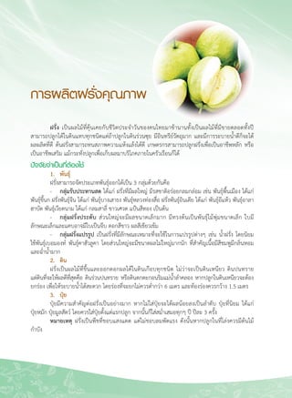 54
การผลิตฝรั่งคุณภาพ
	 ฝรั่ง เป็นผลไม้ที่คุ้นเคยกับชีวิตประจำวันของคนไทยมาช้านานทั้งเป็นผลไม้ที่มีขายตลอดทั้งปี
สามารถปลูกได้ในดินแทบทุกชนิดแต่ถ้าปลูกในดินร่วนซุย มีอินทรีย์วัตถุมาก และมีการระบายน้ำดีก็จะได้
ผลผลิตที่ดี ต้นฝรั่งสามารถทนสภาพความแห้งแล้งได้ดี เกษตรกรสามารถปลูกฝรั่งเพื่อเป็นอาชีพหลัก หรือ
เป็นอาชีพเสริม แม้กระทั่งปลูกเพื่อเก็บผลมาบริโภคภายในครัวเรือนก็ได้
ปัจจัยจำเป็นที่ต้องใช้
	 1. 	 พันธุ์
	 ฝรั่งสามารถจัดประเภทพันธุ์ออกได้เป็น 3 กลุ่มด้วยกันคือ
	 -	 กลุ่มรับประทานสด ได้แก่ ฝรั่งที่มีผลใหญ่ มีรสชาติอร่อยกลมกล่อม เช่น พันธุ์พื้นเมือง ได้แก่
พันธุ์ขี้นก ฝรั่งพันธุ์จีน ได้แก่ พันธุ์บางเสาธง พันธุ์หลวงท่องสื่อ ฝรั่งพันธุ์อินเดีย ได้แก่ พันธุ์อีแห้ว พันธุ์อาลา
ฮาบัด พันธุ์เวียดนาม ได้แก่ กลมสาลี่ ขาวเศวต แป้นสีทอง เป็นต้น
	 -	 กลุ่มฝรั่งประดับ ส่วนใหญ่จะมีผลขนาดเล็กมาก มีทรงต้นเป็นพันธุ์ไม้พุ่มขนาดเล็ก ใบมี
ลักษณะเล็กและแคบอาจมีใบเป็นจีบ ดอกสีขาว ผลสีเขียวเข้ม
	 -	 กลุ่มฝรั่งแปรรูป เป็นฝรั่งที่มีลักษณะเหมาะที่จะใช้ในการแปรรูปต่างๆ เช่น น้ำฝรั่ง โดยนิยม
ใช้พันธุ์เบอมองท์ พันธุ์คาฮัวลูคา โดยส่วนใหญ่จะมีขนาดผลไม่ใหญ่มากนัก ที่สำคัญเนื้อมีสีชมพูมีกลิ่นหอม
และฉ่ำน้ำมาก
	 2.	 ดิน
	 ฝรั่งเป็นผลไม้ที่ขึ้นและออกดอกผลได้ในดินเกือบทุกชนิด ไม่ว่าจะเป็นดินเหนียว ดินปนทราย 

แต่ดินที่จะให้ผลดีที่สุดคือ ดินร่วนปนทราย หรือดินตกตะกอนริมแม่น้ำลำคลอง หากปลูกในดินเหนียวจะต้อง

ยกร่อง เพื่อให้ระบายน้ำได้สะดวก โดยร่องที่จะยกไม่ควรต่ำกว่า 6 เมตร และท้องร่องควรกว้าง 1.5 เมตร 
	 3.	 ปุ๋ย
	 ปุ๋ยมีความสำคัญต่อฝรั่งเป็นอย่างมาก หากไม่ใส่ปุ๋ยจะได้ผลน้อยลงเป็นลำดับ ปุ๋ยที่นิยม ได้แก่ 

ปุ๋ยหมัก ปุ๋ยมูลสัตว์ โดยควรใส่ปุ๋ยตั้งแต่แรกปลูก จากนั้นก็ใส่สม่ำเสมอทุกๆ ปี ปีละ 3 ครั้ง
	 หมายเหตุ ฝรั่งเป็นพืชที่ชอบแสงแดด แต่ไม่ชอบลมพัดแรง ดังนั้นหากปลูกในที่โล่งควรมีต้นไม้
กำบัง
 