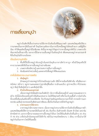 98
การเลี้ยงหมูป่า
	 หมูป่าเป็นสัตว์ที่เลี้ยงง่ายสามารถใช้อาหารในท้องถิ่นที่มีคุณภาพต่ำ และเศษวัสดุเหลือใช้ทาง

การเกษตรเป็นอาหารได้เป็นอย่างดี ปัจจุบันความต้องการในการบริโภคเนื้อหมูป่ามีค่อนข้างมาก แต่มีผู้เลี้ยง

น้อย ทำให้ผลผลิตเนื้อหมูป่ามีไม่เพียงพอ ดังนั้นราคาหมูป่าจึงสูงกว่าราคาเนื้อหมูปกติทั่วไป เกษตรกรจึง
หันมาสนใจเลี้ยงมากขึ้น นอกจากนี้ยังสามารถเลี้ยงหมูป่าในเชิงอนุรักษ์ เพื่อทดแทนหมูป่าตามธรรมชาติ 

ซึ่งในปัจจุบันมีจำนวนน้อยลง
เงื่อนไขความสำเร็จ
	 1.	 พื้นที่ที่ใช้เลี้ยงหมูป่าต้องอยู่ใกล้แหล่งวัตถุดิบอาหารสัตว์ราคาถูก หรือมีวัสดุเหลือใช้

ทางการเกษตรเพื่อใช้เป็นอาหารเลี้ยงหมูป่าอย่างเพียงพอ
	 2.	 เกษตรกรต้องมีความรู้ และประสบการณ์ในการเลี้ยงหมูป่า
	 3.	 ต้องมีแหล่งจำหน่ายพันธุ์ และตลาดรับซื้อหมูป่าที่ชัดเจนแน่นอน
เทคโนโลยีและกระบวนการผลิต
	 1.	 พันธุ์หมูป่า
	 	 ลักษณะรูปร่างของหมูป่าทั่วไปจะมีขนหยาบแข็ง มีสีน้ำตาลเข้มหรือสีดำเข้ม หรือสีดอกเลา
หนังหนา หน้ายาว จมูกยาวและแหลมกว่าสุกรพันธุ์พื้นเมือง ขาเล็กและเรียว ดูปราดเปรียว ทั่วไปจะพบ

อยู่ 2 พันธุ์ คือพันธุ์หน้ายาว และพันธุ์หน้าสั้น
	 2. 	 ด้านโรงเรือนและอุปกรณ์
	 	 เนื่องจากหมูป่ายังมีพฤติกรรมเป็นสัตว์ป่า มีอาการตื่นเมื่อคนอยู่ใกล้ และอาจจะแสดงอาการ
ดุร้าย ดังนั้นโรงเรือนจะต้องสร้างให้แข็งแรงทนทาน โดยใช้วัสดุก่อสร้างที่หาในบริเวณพื้นที่ อาจไม่จำเป็น
ต้องเทพื้นซีเมนต์แต่ต้องมีรั้วรอบที่มิดชิด ป้องกันหมูป่าขุดดินมุดหนีออกมานอกรั้วได้ ควรจะมีการแยก

คอกพ่อ-แม่พันธุ์ คอกคลอดเป็นสัดส่วนอย่างชัดเจน เพื่อป้องกันอันตรายที่เกิดกับลูกหมูป่า
	 3.	 อาหารและการให้อาหาร
	 	 อาหารหมูป่ามีความหลากหลาย เนื่องจากหมูป่าสามารถใช้อาหารในท้องถิ่นที่มีคุณภาพต่ำ
และเศษวัสดุเหลือใช้ทางการเกษตรได้เป็นอย่างดี เช่น ต้นกล้วย มันสำปะหลัง มันเทศ ข้าวโพด ผลปาล์ม
ผักชนิดต่างๆ นอกจากนี้สามารถผสมอาหารเลี้ยงหมูป่าได้เอง โดยใช้มันเส้นสับเป็นชิ้นเล็กๆ 60 ส่วน

รำ 40 ส่วน เกลือป่นเล็กน้อยคลุกเคล้าให้เข้ากัน หมักในภาชนะปิดสนิทนาน 1 เดือน จากนั้นนำมาให้
หมูป่ากินเป็นอาหาร โดยให้วันละมื้อ
 