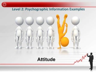 Level 2: Psychographic Information Examples
Attitude
 