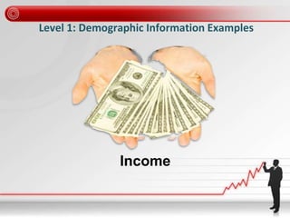 Level 1: Demographic Information Examples
Income
 