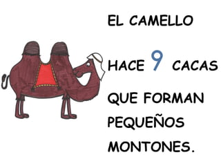EL CAMELLO
HACE 9 CACAS
QUE FORMAN
PEQUEÑOS
MONTONES.
