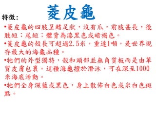 菱皮龜特徵:
•菱皮龜的四肢呈鰭足狀，沒有爪，前肢甚長，後
肢短；尾短；體背為漆黑色或暗褐色。
•菱皮龜的殼長可超過2.5米，重達1噸，是世界現
存最大的海龜品種。
•牠們的外型獨特，殼和頭部並無角質板而是由革
質皮膚包裹。這種海龜擅於潛泳，可在深至1000
米海底活動。
•牠們全身深藍或黑色，身上散佈白色或米白色斑
點。
 