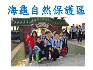 海龜自然保護區
 