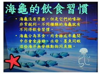 海龜的飲食習慣
• 海龜沒有牙齒，但是它們的喙卻
非常銳利，不同種類的海龜就有
不同得飲食習慣。
• 海龜分為草食，肉食雜成年龜間
中亦會食海綿、水母、墨魚同蝦
這些海洋無脊椎動物同魚類。
 