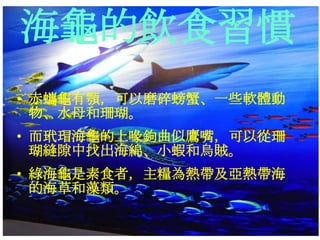 • 赤蠵龜有顎，可以磨碎螃蟹、一些軟體動
物、水母和珊瑚。
• 而玳瑁海龜的上喙鉤曲似鷹嘴，可以從珊
瑚縫隙中找出海綿、小蝦和烏賊。
• 綠海龜是素食者，主糧為熱帶及亞熱帶海
的海草和藻類。
海龜的飲食習慣
 