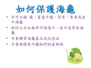 如何保護海龜
• 不可以捕 獵、蓄意干擾、管有、售賣或出
口海龜
• 任何人士如無許可證進口、出口或管有海
龜
• 不要購買海龜產品或紀念品
• 不要破壞及干擾牠們的產卵地
 