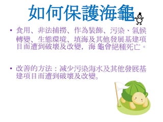 • 食用、非法捕撈、作為裝飾、污染、氣候
轉變、生態環境、填海及其他發展基建項
目而遭到破壞及改變，海 龜會絕種死亡。
• 改善的方法：减少污染海水及其他發展基
建項目而遭到破壞及改變。
如何保護海龜
 