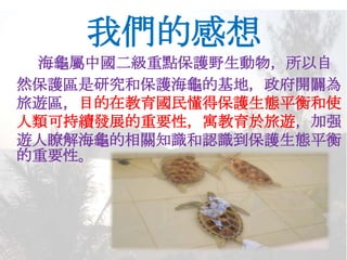 海龜屬中國二級重點保護野生動物，所以自
然保護區是研究和保護海龜的基地，政府開闢為
旅遊區，目的在教育國民懂得保護生態平衡和使
人類可持續發展的重要性，寓教育於旅遊，加强
遊人瞭解海龜的相關知識和認識到保護生態平衡
的重要性。
我們的感想
 