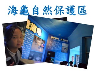 海龜自然保護區
 