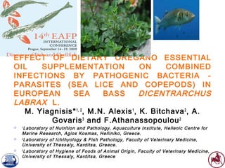 EFFECT OF DIETARY OREGANO ESSENTIAL
OIL SUPPLEMENTATION ON COMBINED
INFECTIONS BY PATHOGENIC BACTERIA -
PARASITES (SEA LICE AND COPEPODS) IN
EUROPEAN SEA BASS DICENTRARCHUS
LABRAX L.
M. Yiagnisis*1, 2
, M.N. Alexis1
, K. Bitchava2
, A.
Govaris3
and F.Athanassopoulou2
 1
Laboratory of Nutrition and Pathology, Aquaculture Institute, Hellenic Centre for
Marine Research, Agios Kosmas, Helliniko, Greece.
 2
Laboratory of Ichthyology & Fish Pathology, Faculty of Veterinary Medicine,
University of Thessaly, Karditsa, Greece.
 3
Laboratory of Hygiene of Foods of Animal Origin, Faculty of Veterinary Medicine,
University of Thessaly, Karditsa, Greece
 