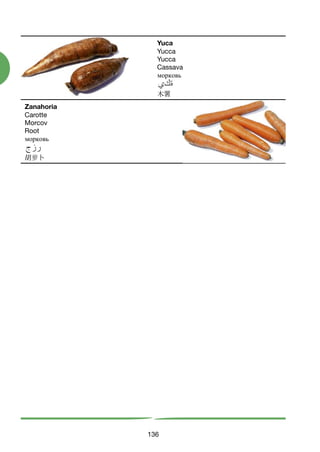 Zanahoria
Carotte
Morcov
Root
морковь
胡萝卜
136
Yuca
Yucca
Yucca
Cassava
морковь
木薯
124-136 VERDURAS TOPI:Maquetación 1 8/11/07 10:51 Página 136
 