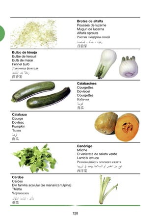 128
Brotes de alfalfa
Pousses de luzerne
Muguri de lucerna
Alfalfa sprouts
Ростки люцерны синей
苜蓿芽
Calabacines
Courgettes
Dovlecei
Courgettes
Кабачки
青瓜
Canónigo
Mâche
O varietate de salata verde
Lamb’s lettuce
Разновидность зеленого салата
西洋菜
Bulbo de hinojo
Bulbe de fenouil
Bulb de marar
Fennel bulb
Луковица фенхеля
茴香茎
Calabaza
Courge
Dovleac
Pumpkin
Тыква
南瓜
Cardos
Cardes
Din familia scaiului (se mananca tulpina)
Thistle
Чертополох
刺菜
124-136 VERDURAS TOPI:Maquetación 1 8/11/07 10:44 Página 128
 