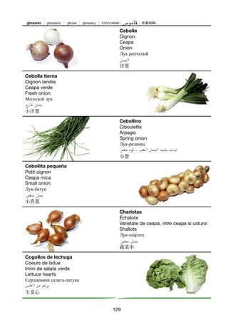 129
Cebolla
Oignon
Ceapa
Onion
Лук репчатый
洋葱
Cebollino
Ciboulette
Arpagic
Spring onion
Лук-резанец
小葱
Charlotas
Échalote
Varietate de ceapa, intre ceapa si usturoi
Shallots
Лук-шарлот
蔬菜串
Cebolla tierna
Oignon tendre
Ceapa verde
Fresh onion
Молодой лук
小洋葱
Cebollita pequeña
Petit oignon
Ceapa mica
Small onion
Лук-батун
小香葱
Cogollos de lechuga
Coeurs de laitue
Inimi de salata verde
Lettuce hearts
Сердцевина салата-латука
生菜心
124-136 VERDURAS TOPI:Maquetación 1 8/11/07 10:45 Página 129
 