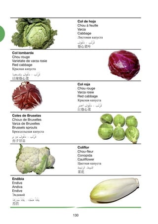 130
Col de hoja
Chou à feuille
Varza
Cabbage
Листовая капуста
卷心菜叶
Col roja
Chou rouge
Varza rosie
Red cabbage
Красная капуста
红卷心菜
Coliflor
Chou-fleur
Conopida
Cauliflower
Цветная капуста
菜花
Col lombarda
Chou rouge
Varietate de varza rosie
Red cabbage
Красная капуста
结球卷心菜
Coles de Bruselas
Choux de Bruxelles
Varza de Bruxelles
Brussels sprouts
Брюссельская капуста
孢子甘蓝
Endibia
Endive
Andiva
Endive
Эндивий
苦苣
124-136 VERDURAS TOPI:Maquetación 1 8/11/07 10:46 Página 130
 
