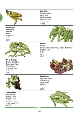 132
Guindillas
Piment rouge
Ardei iute
Chilli peppers
Горький перец
小辣椒
Habas
Fèves
Fava (fasolea calului sau fasole de camp)
Broad beans
Бобы
蚕豆
Hortalizas
Légumes verts
Zarzavaturi
Vegetables
Овощи
蔬菜
Guisantes
Petits pois
Mazare
Peas
Горошек
豌豆
Hoja de roble
Feuille de chêne
Frunza de stejar
Oak lettuce
Дубовый лист
栎叶
Judía verde
Haricot vert
Fasole verde
Green beans
Зеленая фасоль
四季豆
124-136 VERDURAS TOPI:Maquetación 1 8/11/07 10:48 Página 132
 