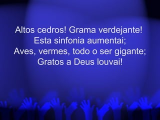 Altos cedros! Grama verdejante!
Esta sinfonia aumentai;
Aves, vermes, todo o ser gigante;
Gratos a Deus louvai!
 