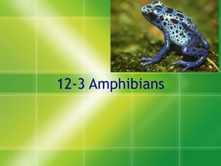 12-3 Amphibians 