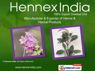 Manufacturer & Exporter of Henna &
                                 Herbal Products




© Hennex India, All Rights Reserved


              www.henna-india.com
 