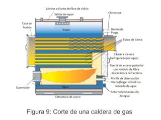 Figura 9: Corte de una caldera de gas  