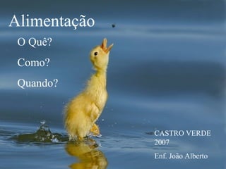 Alimentação
O Quê?
Como?
Quando?

CASTRO VERDE
2007
Enf. João Alberto

 