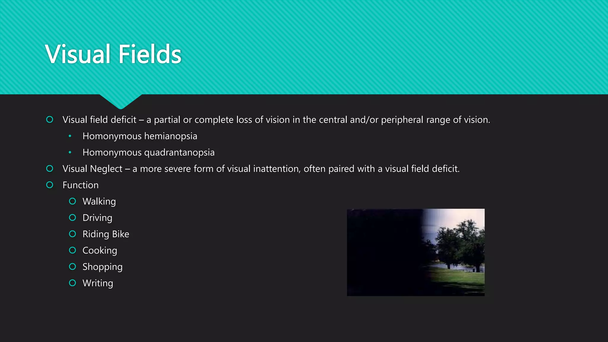 Visual Fields
 Visual field deficit – a partial or complete loss of vision in the central and/or peripheral range of vision.
• Homonymous hemianopsia
• Homonymous quadrantanopsia
 Visual Neglect – a more severe form of visual inattention, often paired with a visual field deficit.
 Function
 Walking
 Driving
 Riding Bike
 Cooking
 Shopping
 Writing
 