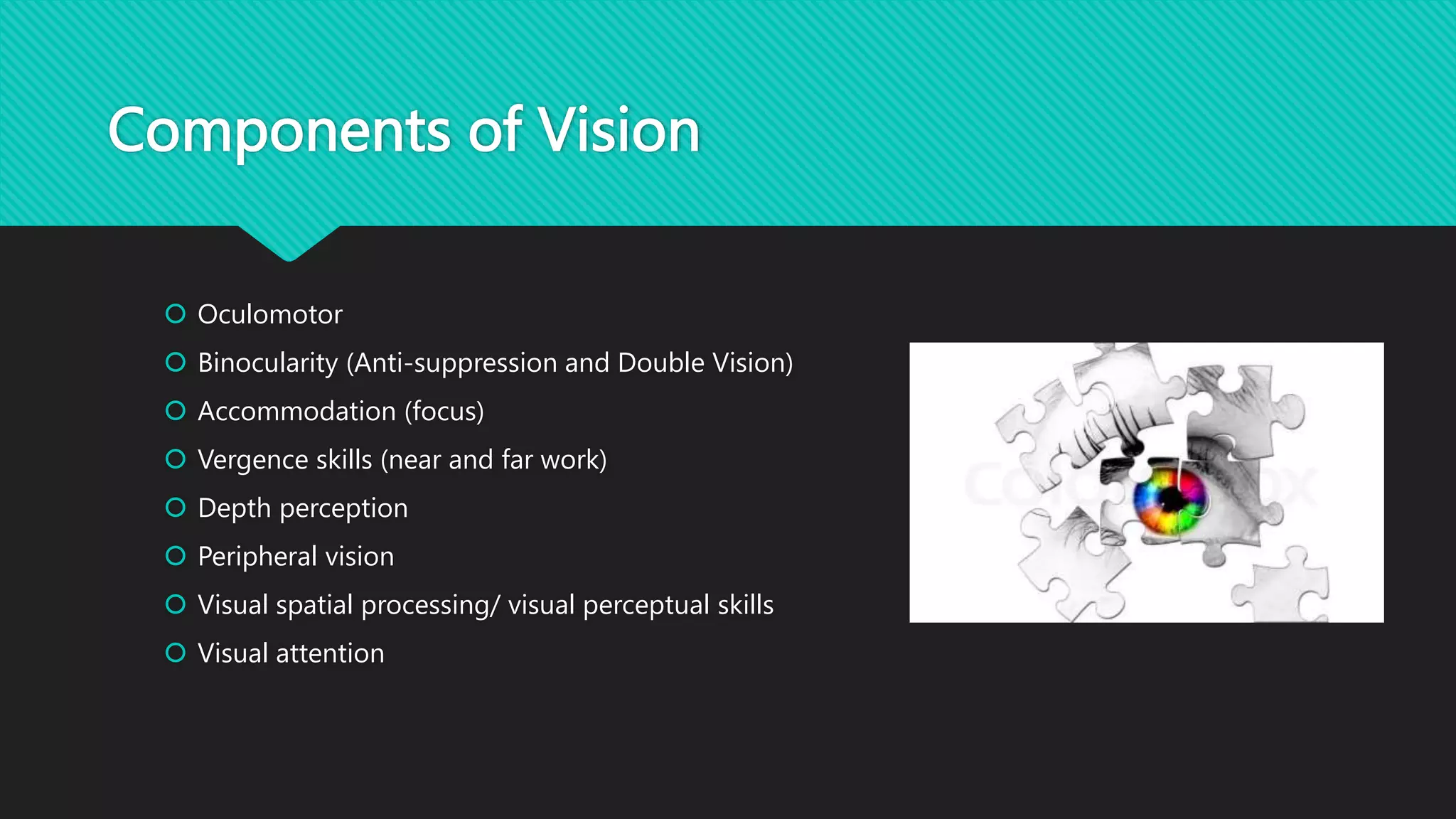 Components of Vision
 Oculomotor
 Binocularity (Anti-suppression and Double Vision)
 Accommodation (focus)
 Vergence skills (near and far work)
 Depth perception
 Peripheral vision
 Visual spatial processing/ visual perceptual skills
 Visual attention
 