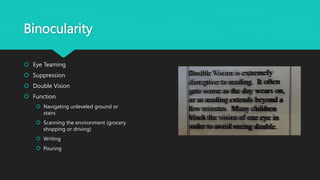 Binocularity
 Eye Teaming
 Suppression
 Double Vision
 Function
 Navigating unleveled ground or
stairs
 Scanning the environment (grocery
shopping or driving)
 Writing
 Pouring
 