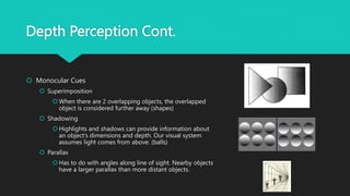 Depth Perception Cont.
 Monocular Cues
 Superimposition
 When there are 2 overlapping objects, the overlapped
object is considered further away (shapes)
 Shadowing
 Highlights and shadows can provide information about
an object’s dimensions and depth. Our visual system
assumes light comes from above. (balls)
 Parallax
 Has to do with angles along line of sight. Nearby objects
have a larger parallax than more distant objects.
 