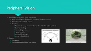 Peripheral Vision
 Important in moving about, speeds performance
 Many times amblyopic (lazy) eye may be better at peripheral awareness.
 Remember that visual fields overlap
 Symptoms
 May look like an eye movement disorder (doesn’t track in certain quadrant )
 bumping into things
 decreased night vision
 spatial insecurity
 decreased body image
 dry eye and low blink rate
 Function
 Riding a bike
 Sports (balance, awareness of other players)
 