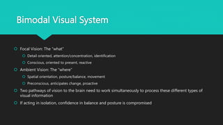 Bimodal Visual System
 Focal Vision: The “what”
 Detail oriented, attention/concentration, identification
 Conscious, oriented to present, reactive
 Ambient Vision: The “where”
 Spatial orientation, posture/balance, movement
 Preconscious, anticipates change, proactive
 Two pathways of vision to the brain need to work simultaneously to process these different types of
visual information
 If acting in isolation, confidence in balance and posture is compromised
 