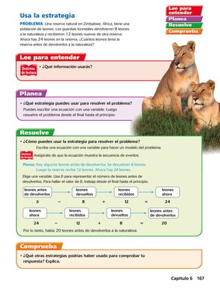 Destreza
de lectura
Usa la estrategia
PROBLEMA  Una reserva natural en Zimbabwe, África, tiene una
población de leones. Los guardias forestales devolvieron 8 leones
a la naturaleza y recibieron 12 leones nuevos de otra reserva.
Ahora hay 24 leones en la reserva. ¿Cuántos leones tenía la
reserva antes de devolverlos a la naturaleza?
•	¿Qué estrategia puedes usar para resolver el problema?
Puedes escribir una ecuación con una variable. Luego
resuelve el problema desde el final hasta el principio.
•	¿Qué información usarás?
•	¿Qué otras estrategias podrías haber usado para comprobar tu
respuesta? Explica.
•	¿Cómo puedes usar la estrategia para resolver el problema?
	 Escribe una ecuación con una variable para hacer un modelo del problema.
Asegúrate de que la ecuación muestra la secuencia de eventos.
	Piensa: Hay algunos leones antes de devolverlos. Se devuelven 8 leones.
Luego la reserva recibe 12 leones. Ahora hay 24 leones.
Elige una variable. Usa b para representar el número de leones antes de
devolverlos. Para hallar el valor de b, trabaja desde el final hasta el principio.
	 b	 2	 8	 1	12	5	24
leones antes
de devolverlos
leones
devueltos
leones
recibidos
leones
ahora
leones antes
de devolverlos
leones
devueltos
leones
recibidos
leones
ahora
	 24	 2	12	1	8	5	20
Por lo tanto, había 20 leones antes de devolverlos a la naturaleza.
Destreza
de lectura
Capítulo 6 167
 