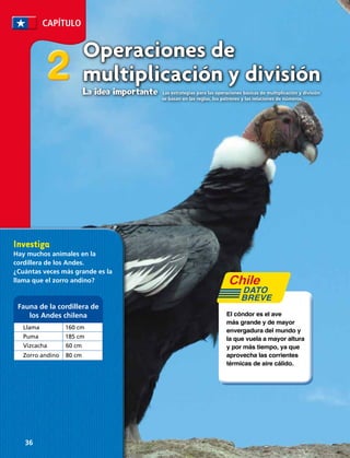 Operaciones de
multiplicación y división
La idea importante  Las estrategias para las operaciones básicas de multiplicación y división 	
				 se basan en las reglas, los patrones y las relaciones de números.
CAPÍTULO
22
El cóndor es el ave
más grande y de mayor
envergadura del mundo y
la que vuela a mayor altura
y por más tiempo, ya que
aprovecha las corrientes
térmicas de aire cálido.
DATO
BREVE
Investiga
Hay muchos animales en la
cordillera de los Andes.
¿Cuántas veces más grande es la
llama que el zorro andino?
Llama 160 cm
Puma 185 cm
Vizcacha 60 cm
Zorro andino 80 cm
Fauna de la cordillera de
los Andes chilena
36 
 