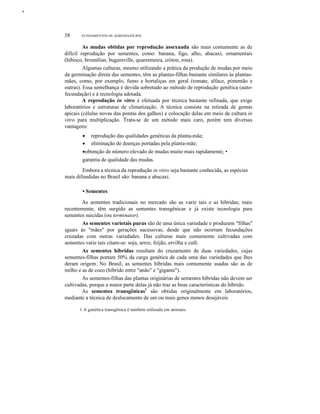 ••
38 FUNDAMENTOS DE AGRONEGÓCIOS
As mudas obtidas por reprodução assexuada são mais comumente as de
difícil reprodução por sementes, como: banana, figo, alho, abacaxi, ornamentais
(hibisco, bromélias, bugainville, quaresmeira, cróton, rosa).
Algumas culturas, mesmo utilizando a prática da produção de mudas por meio
da germinação direta das sementes, têm as plantas-filhas bastante similares às plantas-
mães, como, por exemplo, fumo e hortaliças em geral (tomate, alface, pimentão e
outras). Essa semelhança é devida sobretudo ao método de reprodução genética (auto-
fecundação) e à tecnologia adotada.
A reprodução in vitro é efetuada por técnica bastante refinada, que exige
laboratórios e estruturas de climatização. A técnica consiste na retirada de gemas
apicais (células novas das pontas dos galhos) e colocação delas em meio de cultura in
vitro para multiplicação. Trata-se de um método mais caro, porém tem diversas
vantagens:
• reprodução das qualidades genéticas da planta-mãe;
• eliminação de doenças portadas pela planta-mãe;
•obtenção de número elevado de mudas muito mais rapidamente; •
garantia de qualidade das mudas.
Embora a técnica da reprodução in vitro seja bastante conhecida, as espécies
mais difundidas no Brasil são: banana e abacaxi.
• Sementes
As sementes tradicionais no mercado são as varie tais e as híbridas; mais
recentemente, têm surgido as sementes transgênicas e já existe tecnologia para
sementes suicidas (ou terminator).
As sementes varietais puras são de uma única variedade e produzem "filhas"
iguais às "mães" por gerações sucessivas, desde que não ocorram fecundações
cruzadas com outras variedades. Das culturas mais comumente cultivadas com
sementes varie tais citam-se: soja, arroz, feijão, ervilha e café.
As sementes híbridas resultam do cruzamento de duas variedades, cujas
sementes-filhas portam 50% da carga genética de cada uma das variedades que lhes
deram origem. No Brasil, as sementes híbridas mais comumente usadas são as de
milho e as de coco (híbrido entre "anão" e "gigante").
As sementes-filhas das plantas originárias de sementes híbridas não devem ser
cultivadas, porque a maior parte delas já não traz as boas características do híbrido.
As sementes transgênicas1
são obtidas originalmente em laboratórios,
mediante a técnica de deslocamento de um ou mais genes menos desejáveis
1 A genética transgênica é também utilizada em animais.
 