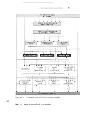 -----------------------------------------------------
SEGMENTOS DOS SISTEMAS AGROINDUSTRIAIS 81
DD.
Figura 2.1 Canais de comercialização em agronegócios.
 