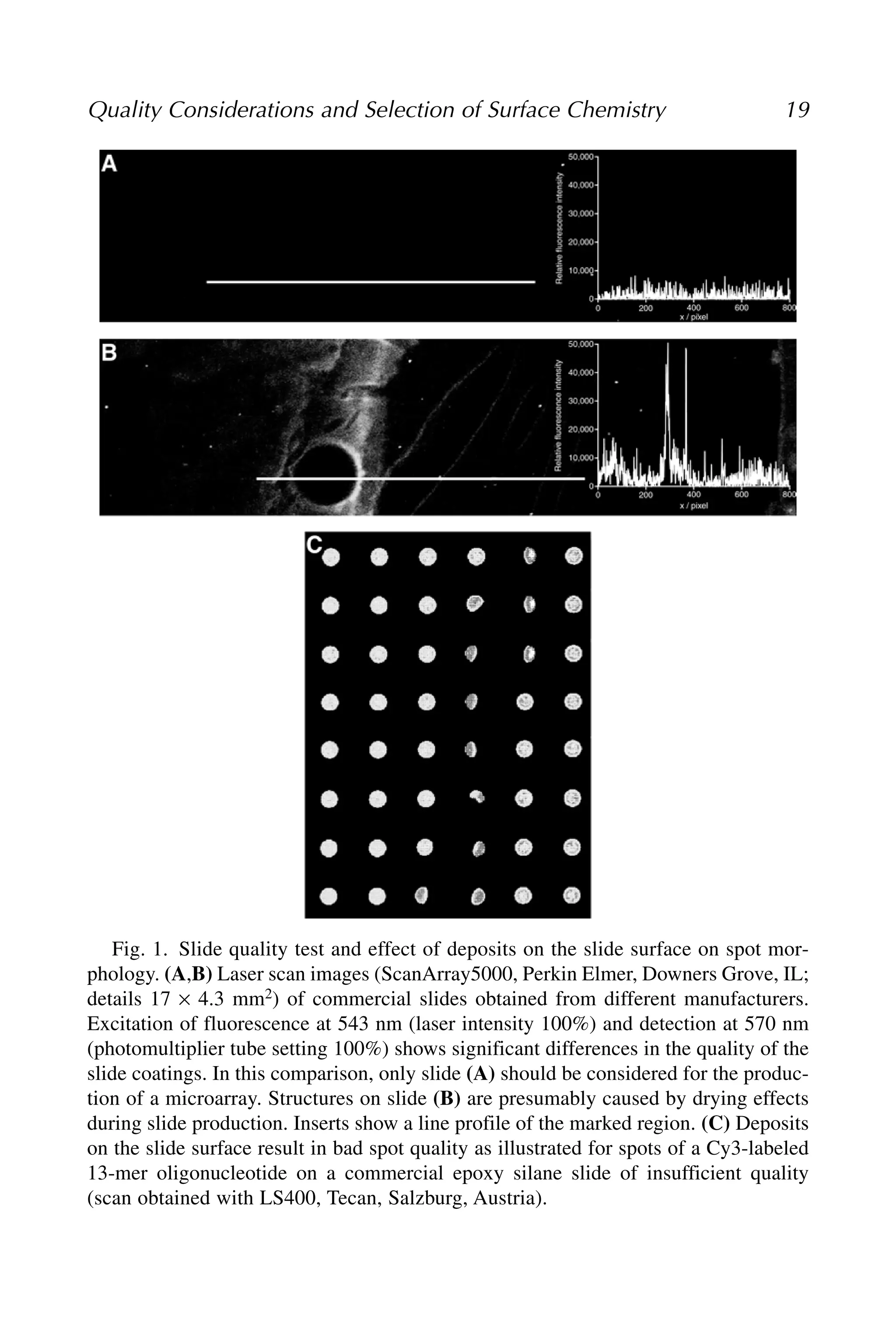 Quality Considerations and Selection of Surface Chemistry 19
Fig. 1. Slide quality test and effect of deposits on the slide surface on spot mor-
phology. (A,B) Laser scan images (ScanArray5000, Perkin Elmer, Downers Grove, IL;
details 17 × 4.3 mm2) of commercial slides obtained from different manufacturers.
Excitation of fluorescence at 543 nm (laser intensity 100%) and detection at 570 nm
(photomultiplier tube setting 100%) shows significant differences in the quality of the
slide coatings. In this comparison, only slide (A) should be considered for the produc-
tion of a microarray. Structures on slide (B) are presumably caused by drying effects
during slide production. Inserts show a line profile of the marked region. (C) Deposits
on the slide surface result in bad spot quality as illustrated for spots of a Cy3-labeled
13-mer oligonucleotide on a commercial epoxy silane slide of insufficient quality
(scan obtained with LS400, Tecan, Salzburg, Austria).
 