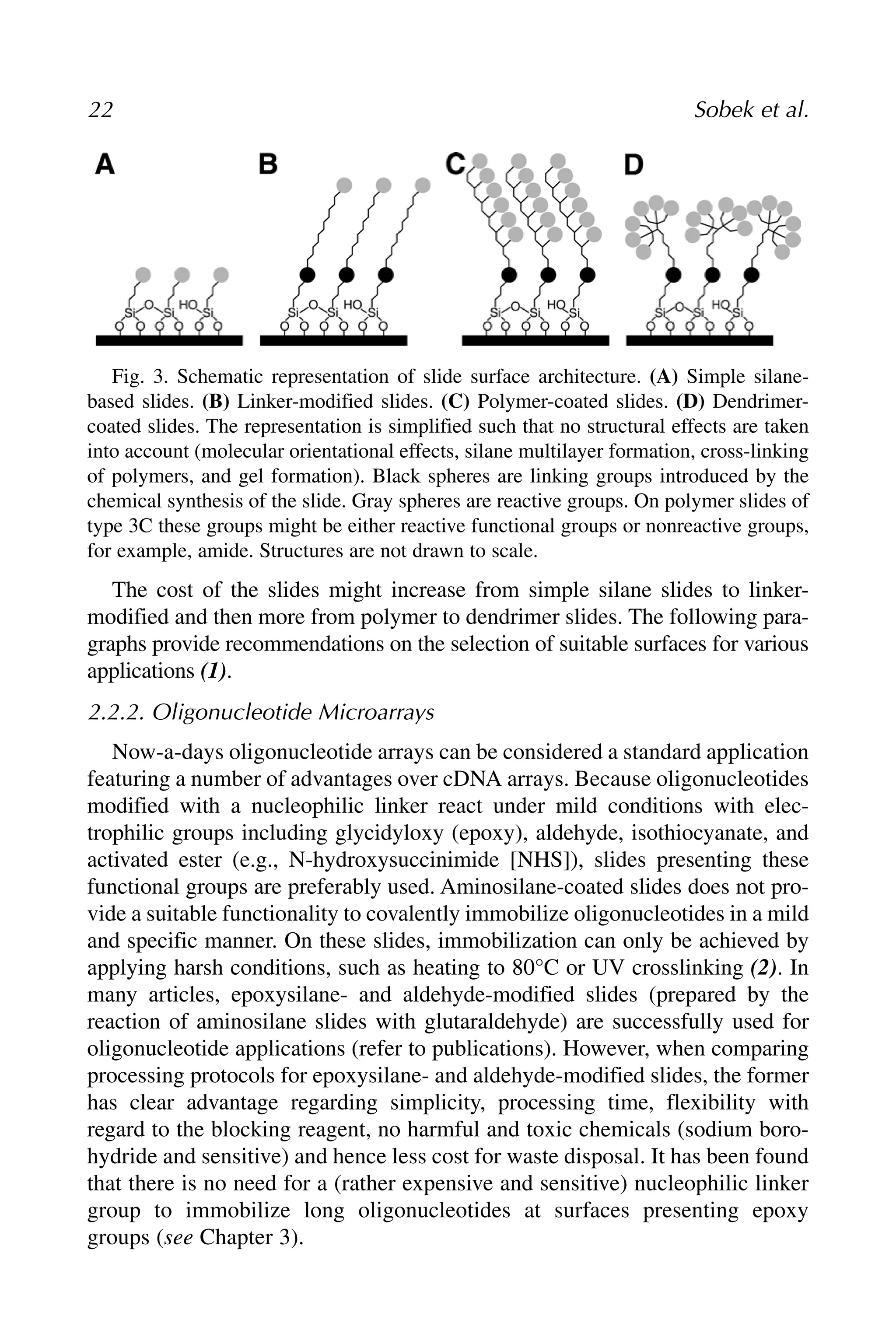 The cost of the slides might increase from simple silane slides to linker-
modified and then more from polymer to dendrimer slides. The following para-
graphs provide recommendations on the selection of suitable surfaces for various
applications (1).
2.2.2. Oligonucleotide Microarrays
Now-a-days oligonucleotide arrays can be considered a standard application
featuring a number of advantages over cDNA arrays. Because oligonucleotides
modified with a nucleophilic linker react under mild conditions with elec-
trophilic groups including glycidyloxy (epoxy), aldehyde, isothiocyanate, and
activated ester (e.g., N-hydroxysuccinimide [NHS]), slides presenting these
functional groups are preferably used. Aminosilane-coated slides does not pro-
vide a suitable functionality to covalently immobilize oligonucleotides in a mild
and specific manner. On these slides, immobilization can only be achieved by
applying harsh conditions, such as heating to 80°C or UV crosslinking (2). In
many articles, epoxysilane- and aldehyde-modified slides (prepared by the
reaction of aminosilane slides with glutaraldehyde) are successfully used for
oligonucleotide applications (refer to publications). However, when comparing
processing protocols for epoxysilane- and aldehyde-modified slides, the former
has clear advantage regarding simplicity, processing time, flexibility with
regard to the blocking reagent, no harmful and toxic chemicals (sodium boro-
hydride and sensitive) and hence less cost for waste disposal. It has been found
that there is no need for a (rather expensive and sensitive) nucleophilic linker
group to immobilize long oligonucleotides at surfaces presenting epoxy
groups (see Chapter 3).
22 Sobek et al.
Fig. 3. Schematic representation of slide surface architecture. (A) Simple silane-
based slides. (B) Linker-modified slides. (C) Polymer-coated slides. (D) Dendrimer-
coated slides. The representation is simplified such that no structural effects are taken
into account (molecular orientational effects, silane multilayer formation, cross-linking
of polymers, and gel formation). Black spheres are linking groups introduced by the
chemical synthesis of the slide. Gray spheres are reactive groups. On polymer slides of
type 3C these groups might be either reactive functional groups or nonreactive groups,
for example, amide. Structures are not drawn to scale.
 