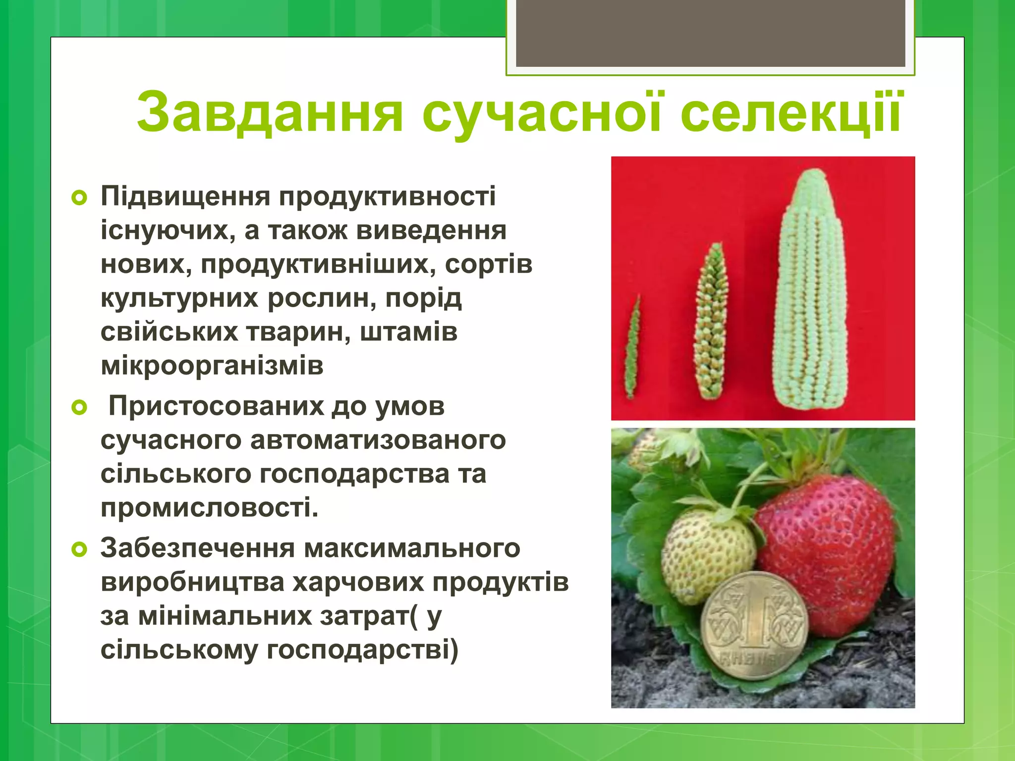 Завдання сучасної селекції
 Підвищення продуктивності
існуючих, а також виведення
нових, продуктивніших, сортів
культурних рослин, порід
свійських тварин, штамів
мікроорганізмів
 Пристосованих до умов
сучасного автоматизованого
сільського господарства та
промисловості.
 Забезпечення максимального
виробництва харчових продуктів
за мінімальних затрат( у
сільському господарстві)
 