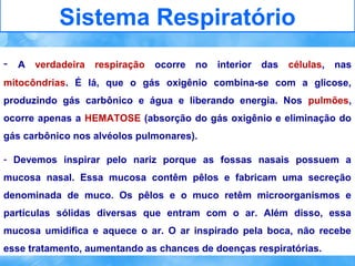 Sistema Respiratório
- A verdadeira respiração ocorre no interior das células, nas
mitocôndrias. É lá, que o gás oxigênio combina-se com a glicose,
produzindo gás carbônico e água e liberando energia. Nos pulmões,
ocorre apenas a HEMATOSE (absorção do gás oxigênio e eliminação do
gás carbônico nos alvéolos pulmonares).
- Devemos inspirar pelo nariz porque as fossas nasais possuem a
mucosa nasal. Essa mucosa contêm pêlos e fabricam uma secreção
denominada de muco. Os pêlos e o muco retêm microorganismos e
partículas sólidas diversas que entram com o ar. Além disso, essa
mucosa umidifica e aquece o ar. O ar inspirado pela boca, não recebe
esse tratamento, aumentando as chances de doenças respiratórias.

 