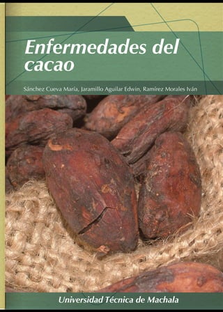 Universidad Técnica de Machala
Sánchez Cueva María, Jaramillo Aguilar Edwin, Ramírez Morales Iván
Enfermedades del
cacao
 