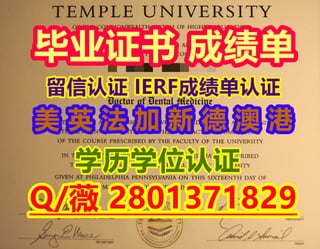 #国外留学文凭购买Temple假毕业证书